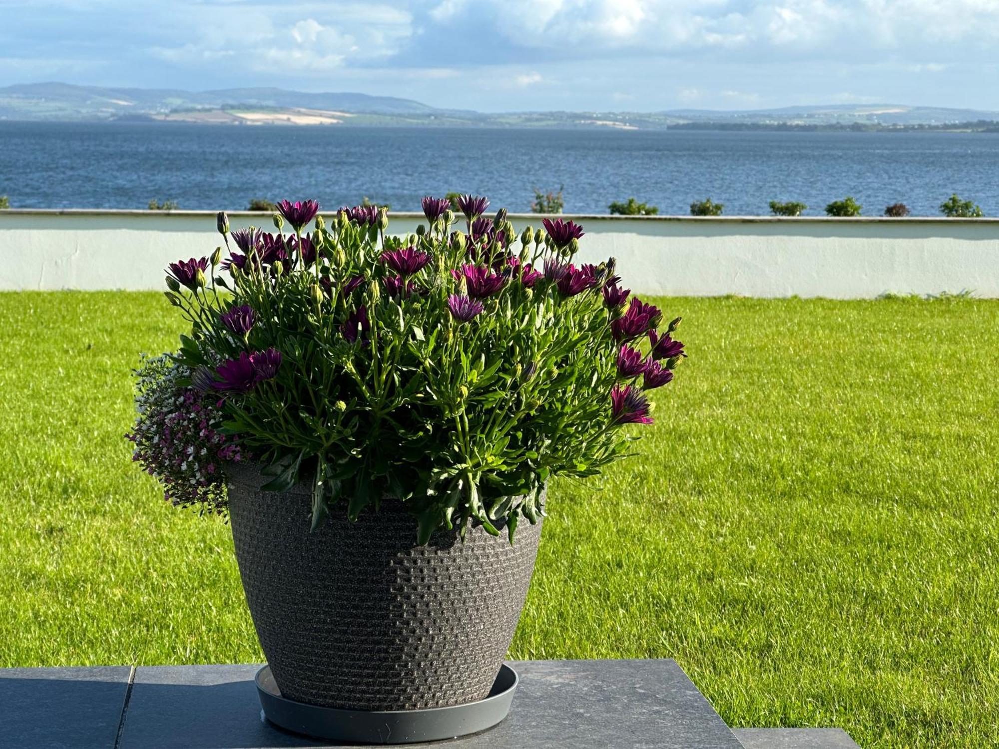Villa Sea Vista - Rathmullan Exterior foto