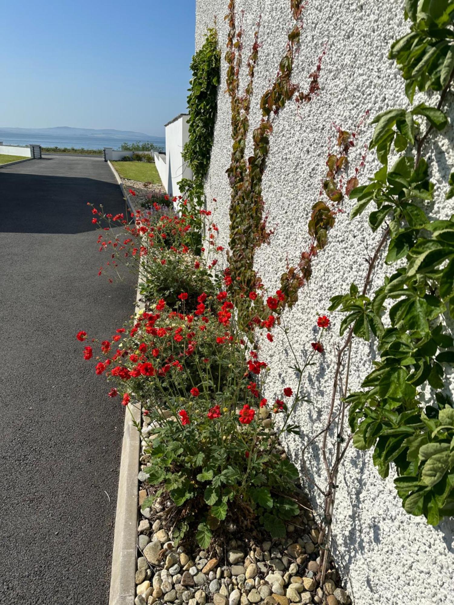 Villa Sea Vista - Rathmullan Exterior foto